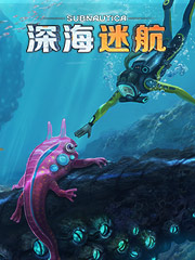 重庆便宜衣服的地方